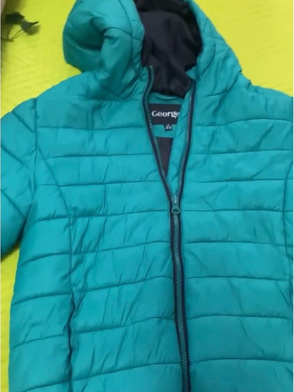 George Teal Quilted Hooded Puffer Jacket for Kids